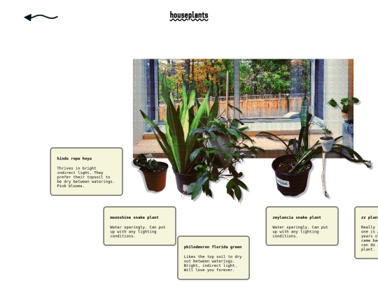 plants screenshot