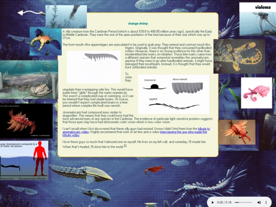 shrimp screenshot