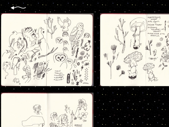 sketchbooks/red-moleskine screenshot