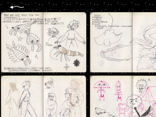 sketchbooks/topfirst screenshot