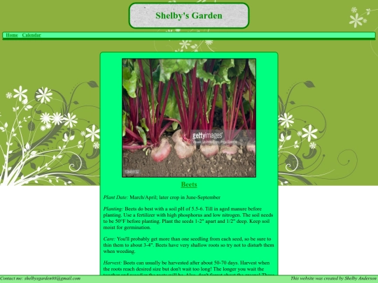 beets screenshot