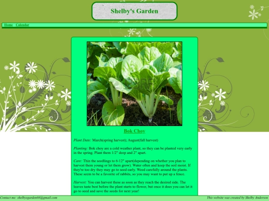 bok-choy screenshot
