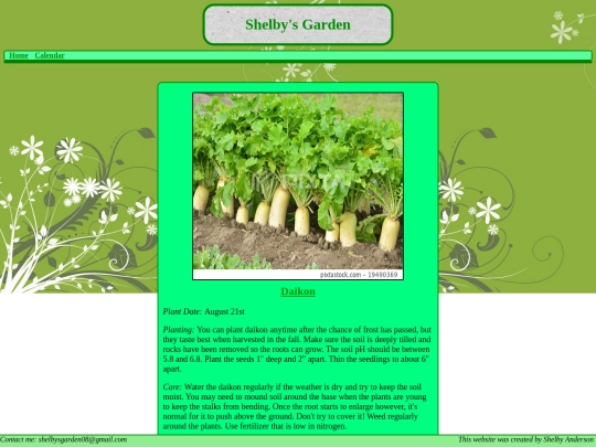 daikon screenshot