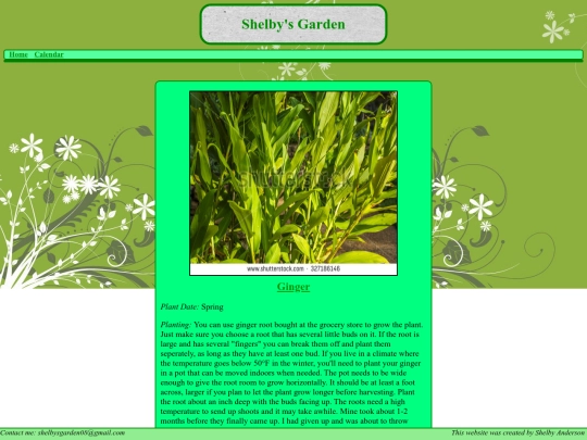 ginger screenshot