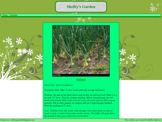 onions screenshot