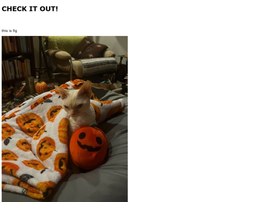 gallery1/haloween screenshot
