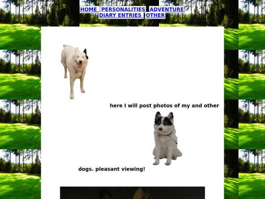 Other/Photos /Dogs/dogs screenshot