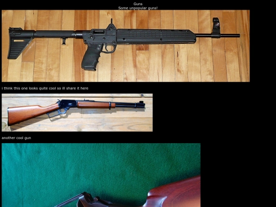 guns screenshot
