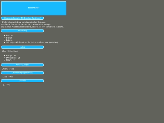fledermause screenshot