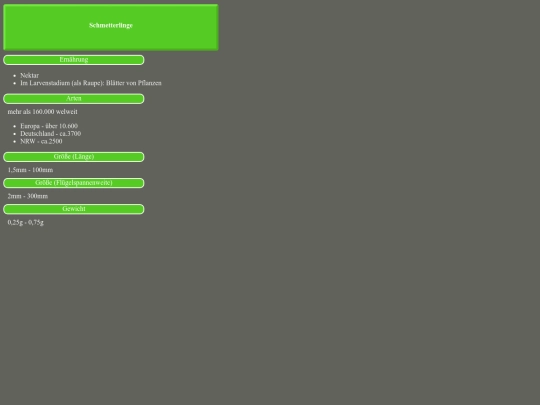 schmeterlinge screenshot