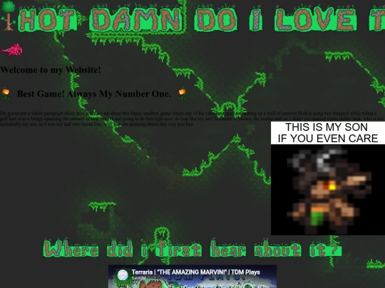 Terraria screenshot