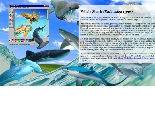 sharks screenshot