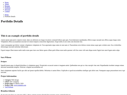 portfolio-details screenshot