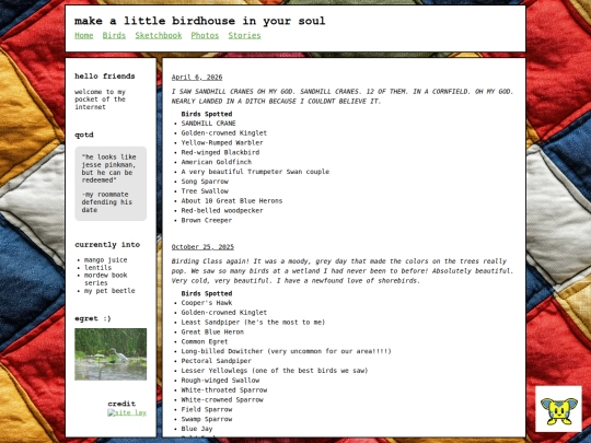 birds screenshot