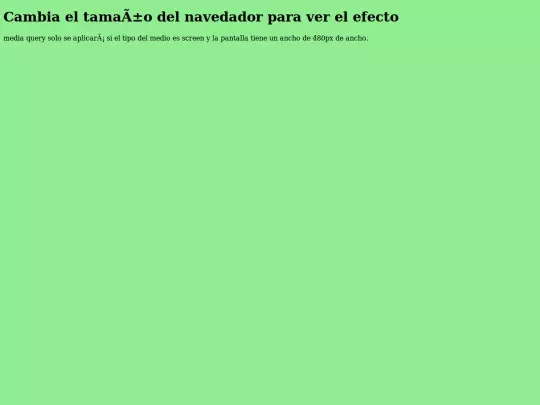 css/Ej1/media screenshot