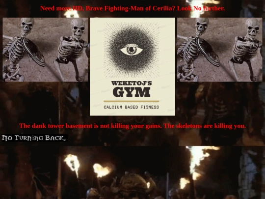 zedforstgym screenshot