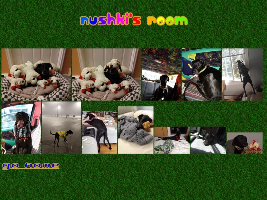 nushki screenshot