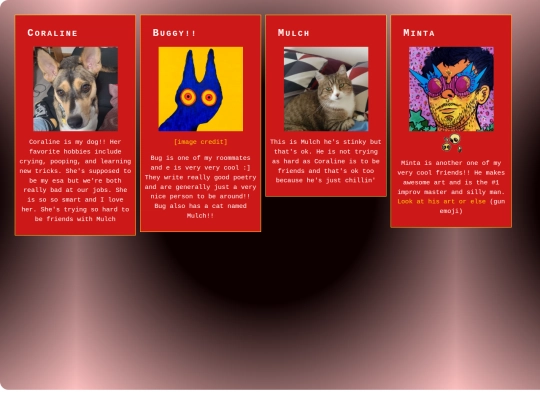 pages_friends/irl screenshot