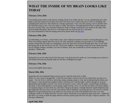BrainView screenshot