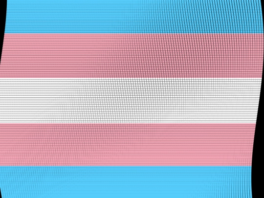 tranzflag screenshot