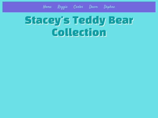 images/website folder screenshot