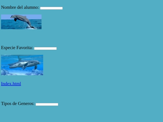 Untitled-3 screenshot