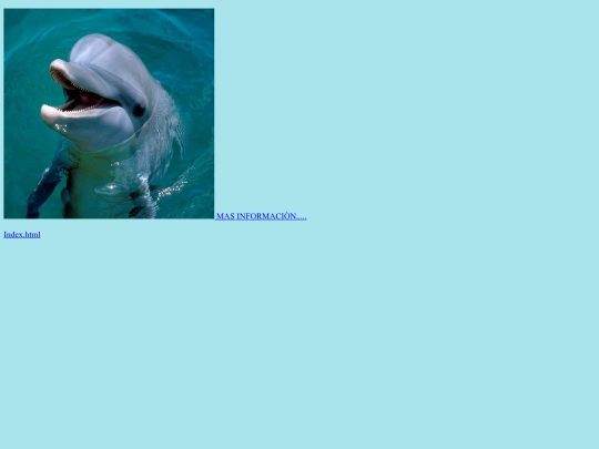 Untitled-5 screenshot