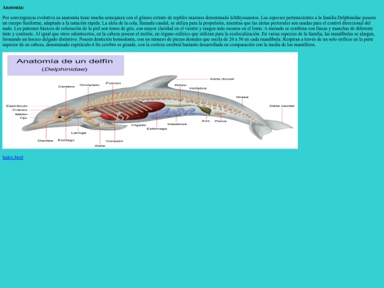 Untitled-6 screenshot