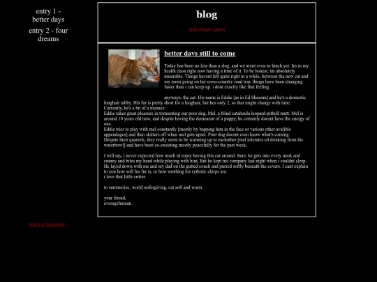 blog/catblog screenshot