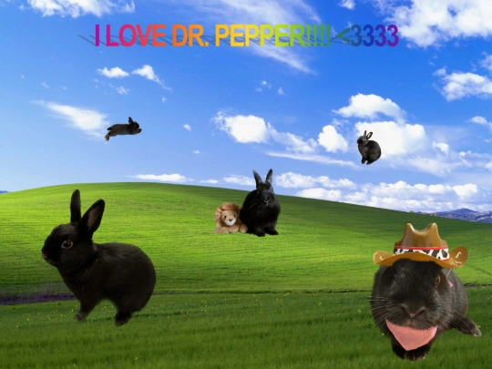 pepper screenshot