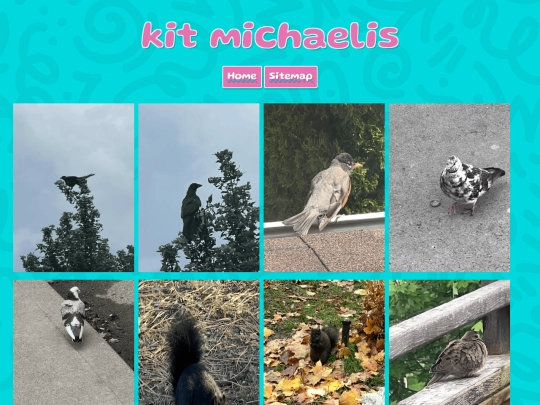 photos screenshot