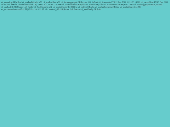 _borders/left screenshot