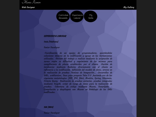 experienciaLaboral screenshot