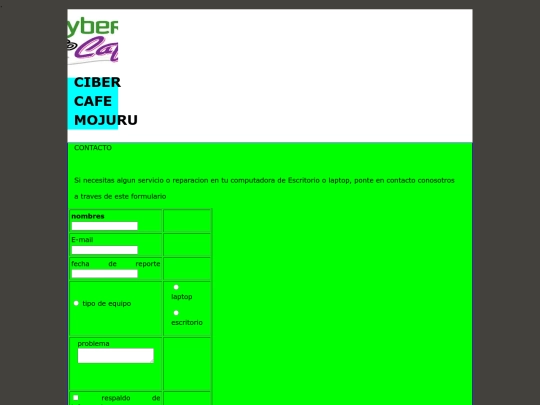 paginas/formulario screenshot