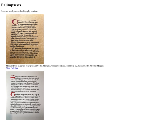 palimpsests screenshot