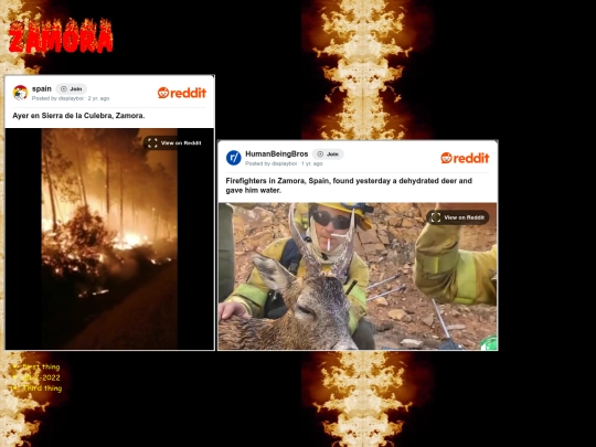 incendios screenshot