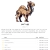 esoteric-perl.neocities.org avatar