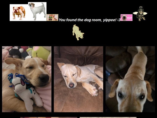 136012f9-e478-440a-bb08-804ad510a9cf screenshot