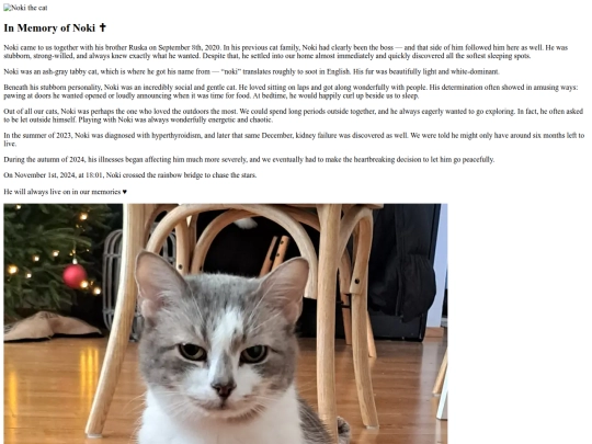 nokipage screenshot