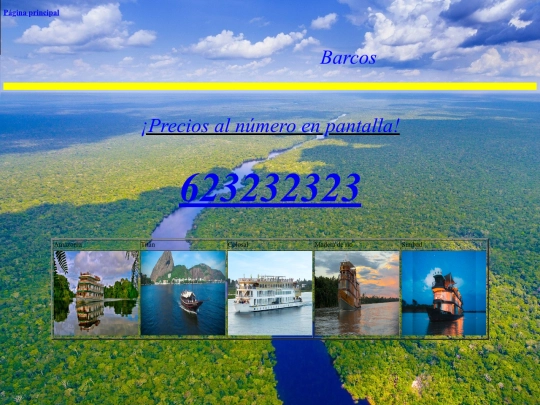 Proyectofinal/Barcos screenshot