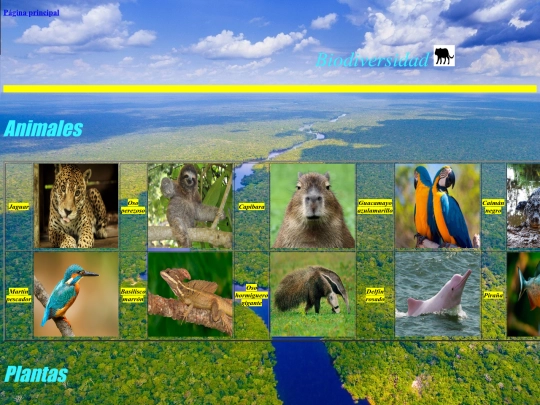 Proyectofinal/Biodiversidad screenshot