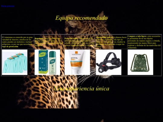 Proyectofinal/Equipo screenshot