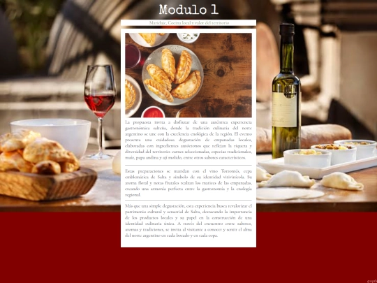 modulo1 screenshot