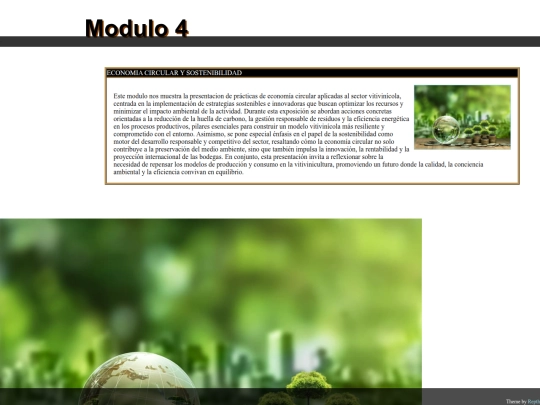 modulo4 screenshot
