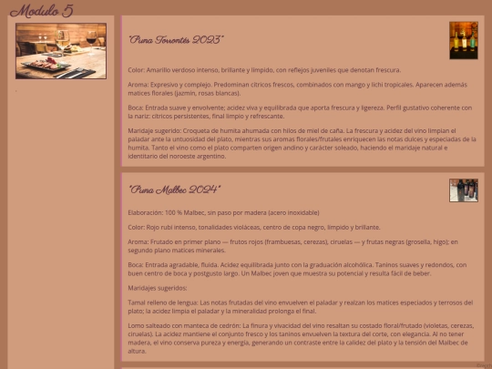 modulo5 screenshot