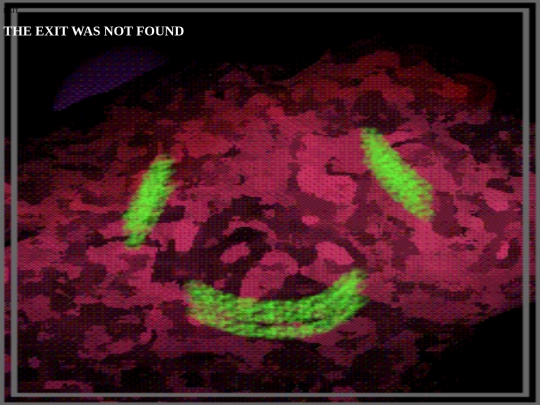 NOTTHEXITLMAOO screenshot