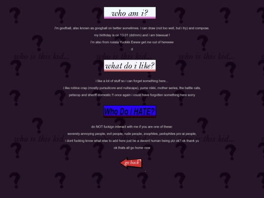 aboutmeREMAKE screenshot