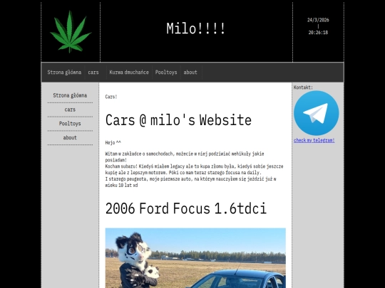 carsmilutkii screenshot