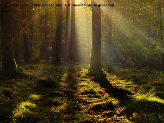AboutMeRant screenshot