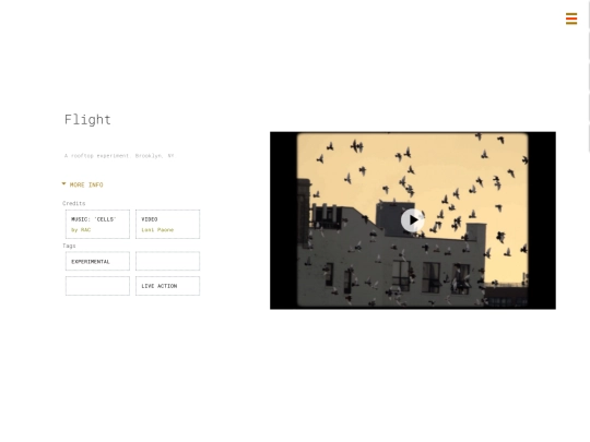 flight screenshot